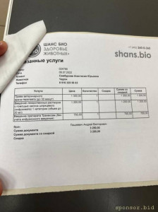 Помощь сбитой собачке - шанс био рентген.jpeg