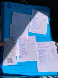 Помощь сбитой собачке - стационар итого.jpeg