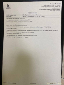 Помощь сбитой собачке - заключение беланта 1.jpeg