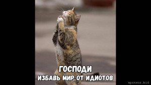 Очень помогла бы материальная поддержка - maxresdefault.jpg